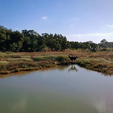 度假居 Monte Paxora *