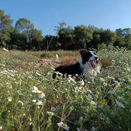 Σπίτι διακοπών Monte Paxora *